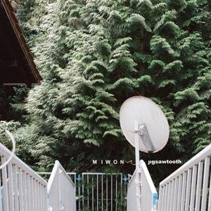 Miwon - Jigsawtooth 1CD