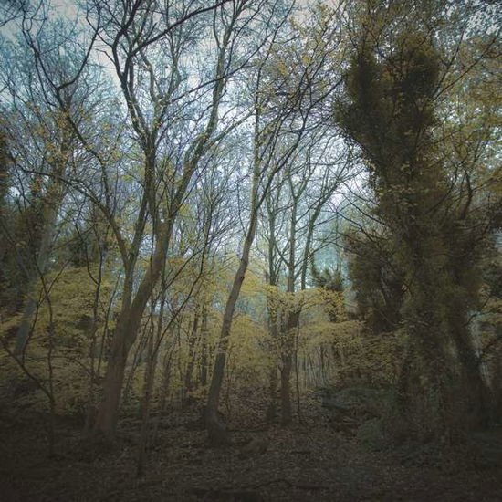Worriedaboutsatan - Time Lapse 1CD