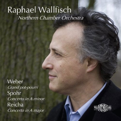 Wallfisch - Cello Works 1CD