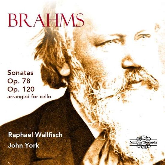 Brahms / Wallfisch / York - Sonatas 78 & 120 1CD