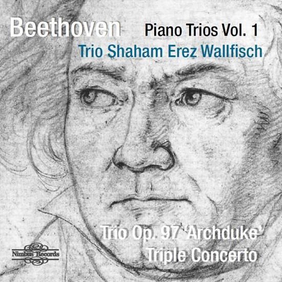 Trio Shaham Erez Wallfisch - Beethoven: Piano Trios. Vol. 1: Trio Op. 97 Archduke Triple Concerto 1CD