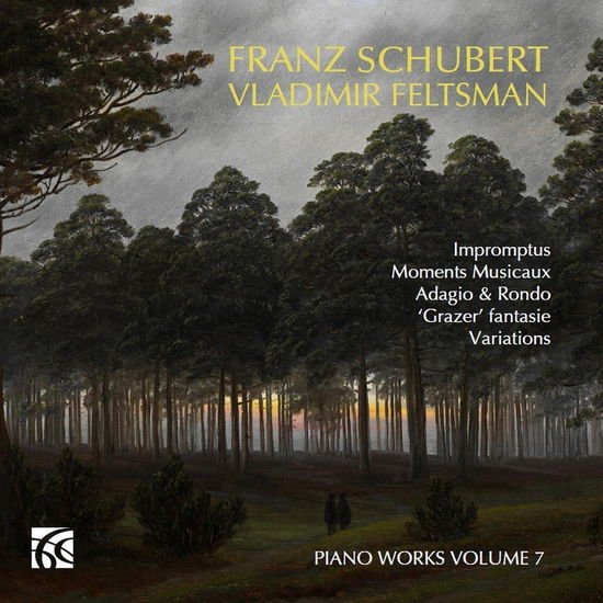Vladimir Feltsman - Schubert: Piano Music 2CD