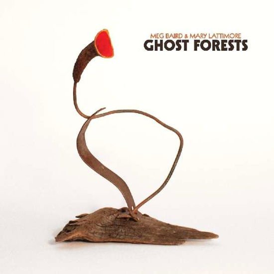 Baird,meg / Lattimore,mary - Ghost Forests 1CD
