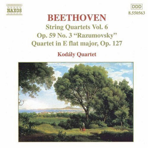 Beethoven / Kodaly Quartet / Falvay,attila / Szabo - String Quartets #6 1CD