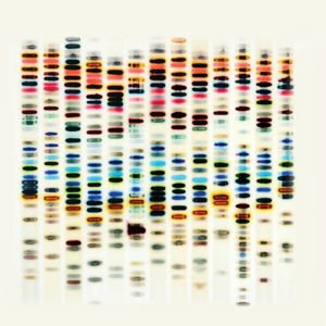 St-37 - IM Not Good 1CD
