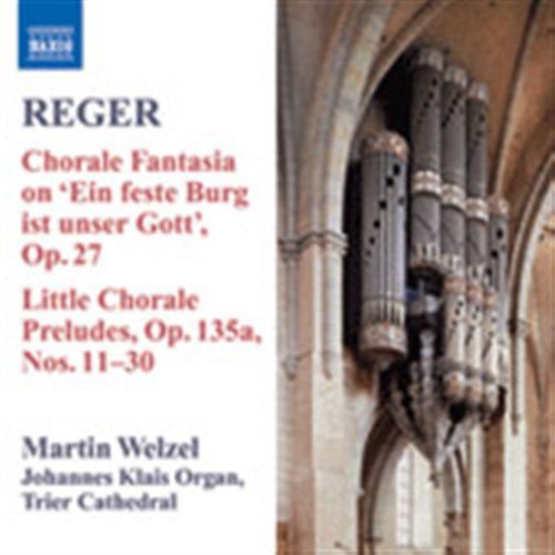Reger / Welzel - Organ Music 8 1CD