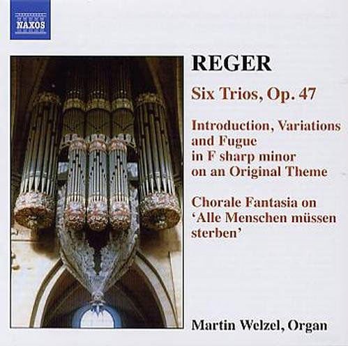MARTIN WELZEL REGER ORGAN WORKS VOL 6 CD