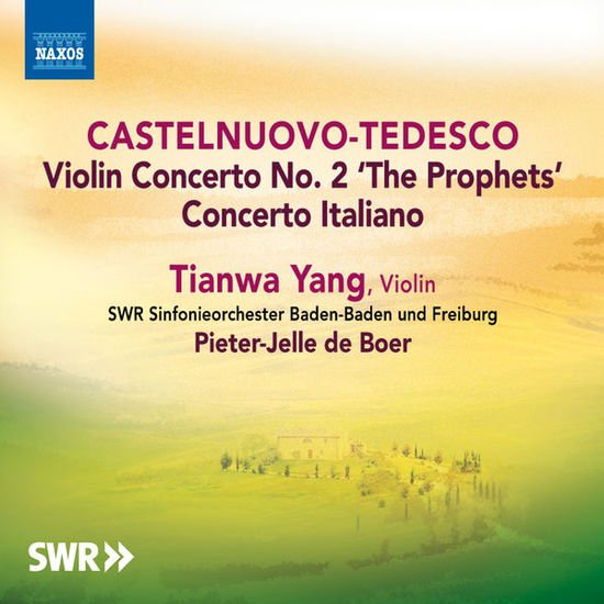 Fulvio Luciani - Violin Concerto No.2/concerto Italiano 1CD