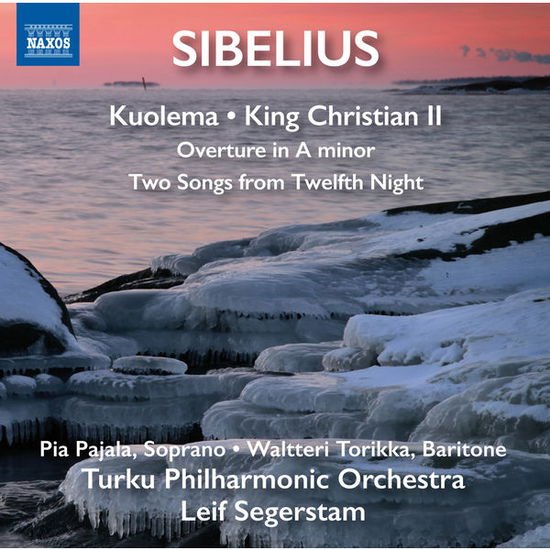 Sibelius / Pajala / Turku Philharmonic Orchestra - Orchestral Works 1CD