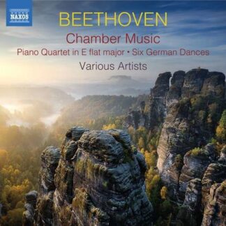 David Zinman - Chamber Music 2CD