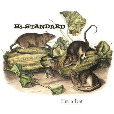 Hi-Standard - I'm A Rat 1LP