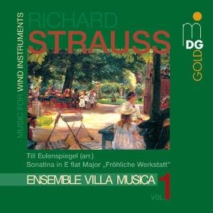 Strauss,r. / Ensemble Villa Musica - Sonatina in E-flat / Till Eulenspiegel 1CD