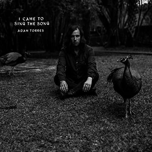 Adam Torres - I Came to Sing the Song 1CD