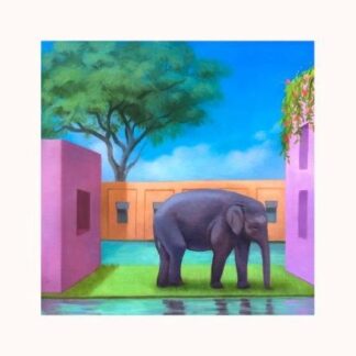 Korea Town Acid - Elephant in the Room 1LP