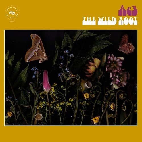 Ae3 (Alan Evans Trio) - The Wild Root 1CD