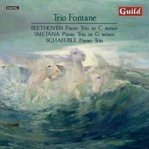 Beethoven / Trio Fontane / Smetana - Piano Trio in C Minor Op 1 1CD