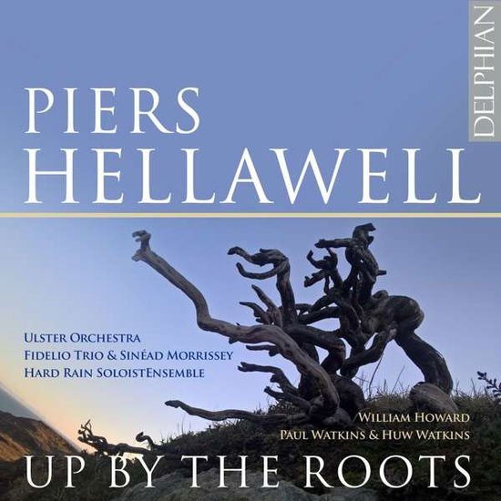 Hellawell / Fidelio Trio / Ulster Orchestra - Up by the Roots 1CD