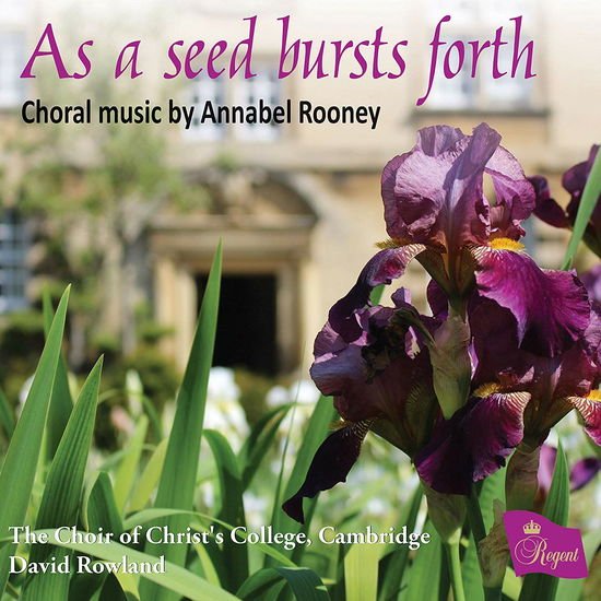 The Choir of Christs Colleg - Annabel Rooney As a Seed Burs 1CD