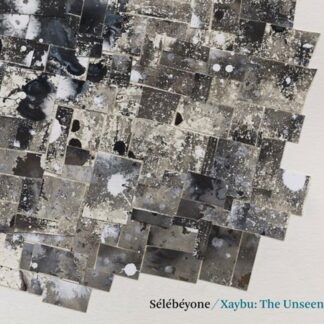 Steve & Selebeyone Lehman - Xaybu: The Unseen 1CD