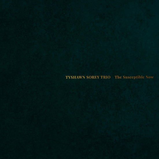 Tyshawn Sorey - The Susceptible Now 1CD
