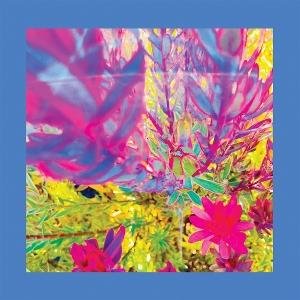 Reds Pinks and Purples - The Past Is A Garden I Never Fed 1CD