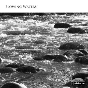 Whitlock / Honeybourne / Stokes / Meldrum - Flowing Waters 1CD