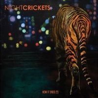 NIGHT CRICKETS FEAT. DAVID J & VICTOR DELORENZO & HOW IT ENDS (?) CD
