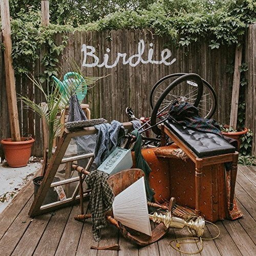 Dog Slaughter Beach - Birdie 1CD