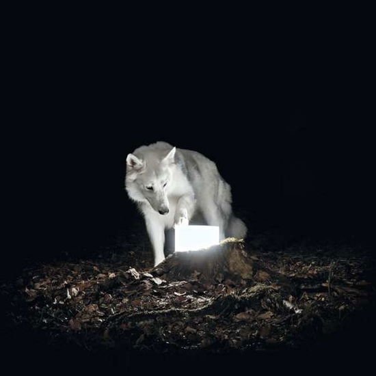 Vanishing Life - Surveillance 1CD