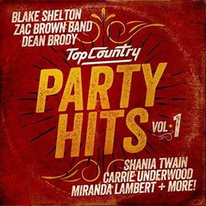 Top Country Party Hits V1 / Various - Top Country Party Hits V1 / Various 1CD