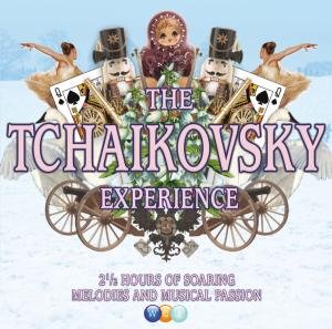 Tchaikovsky - Tchaikovsky Experience 2CD