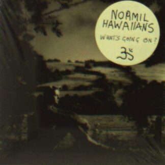 NORMIL HAWAIIANS WHATS GOING ON CD