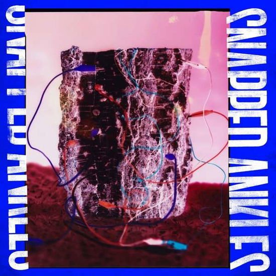 Snapped Ankles - Forest Of Your Problems 1CD