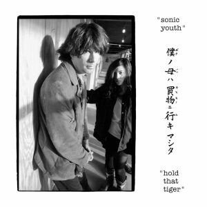 SONIC YOUTH Hold That Tiger CD