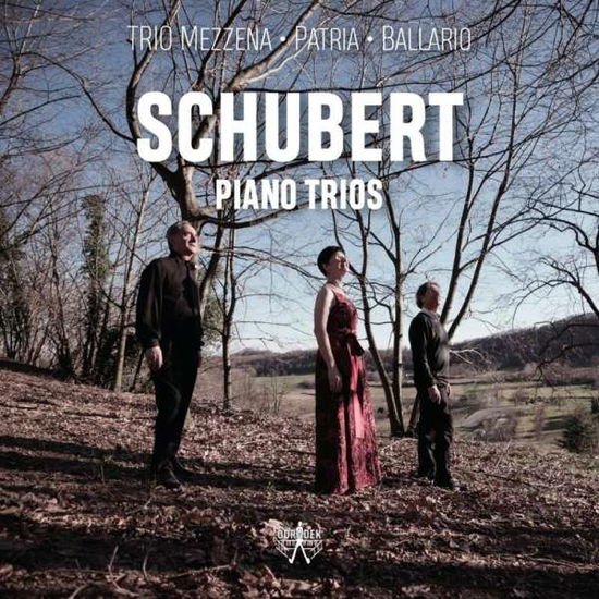 Trio Mezzena - Patria - Ballario - Piano Trios 2CD