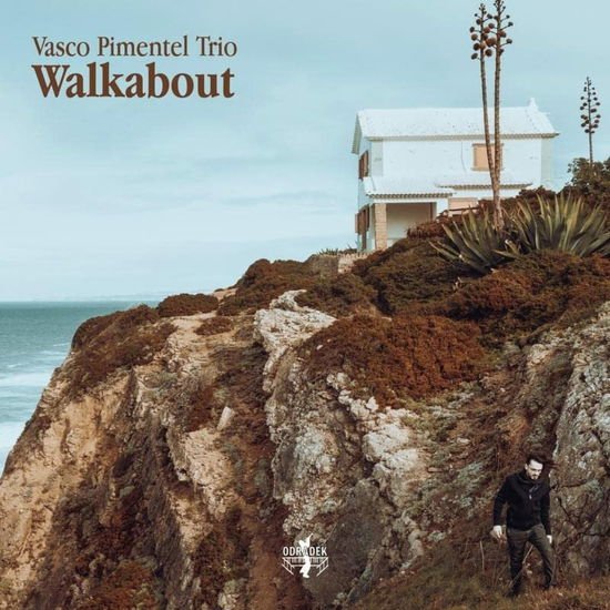 Vasco Trio Pimentel - Walkabout 1CD