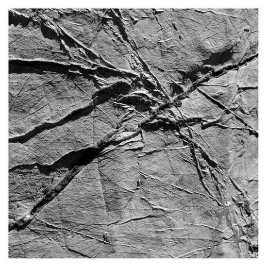 Agf & Various - Arachnesound 1CD