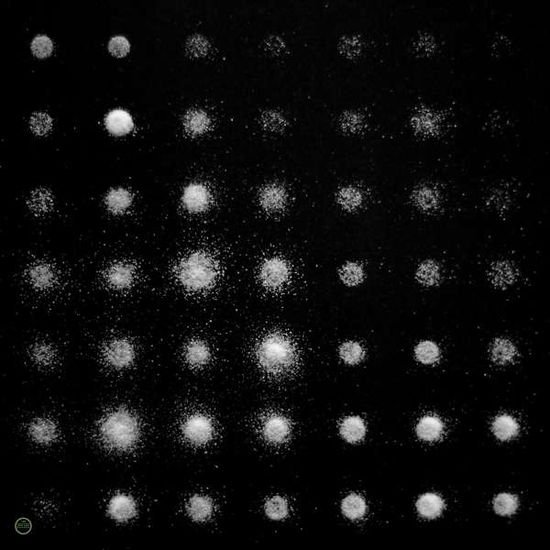 RAYON A BEAT OF SILENCE CD