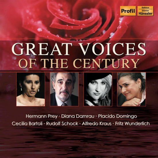 Great Voices of the Century / Various - Great Voices of the Century / Various 2CD