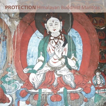 Protection 1CD