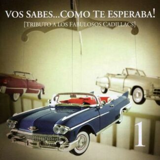 Vos Sabes Como Te Esperaba / V - Vos Sabes Como Te Esperaba / V 1CD