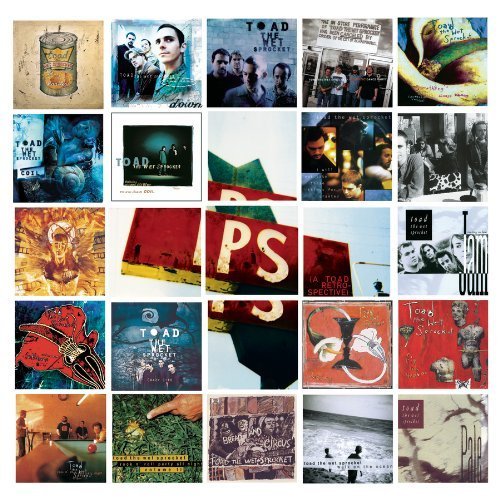 Toad the Wet Sprocket - Ps: a Toad Retrospective 1CD