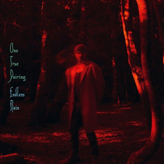 One True Pairing - Endless Rain 1CD