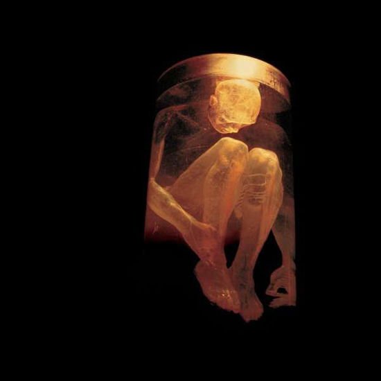ALICE IN CHAINS - NOTHING SAFE: BEST OF 1-CD