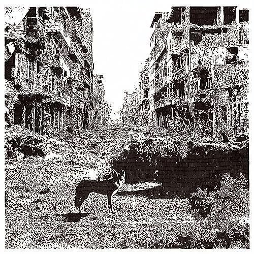 Vox Low - Keep on Falling 1CD