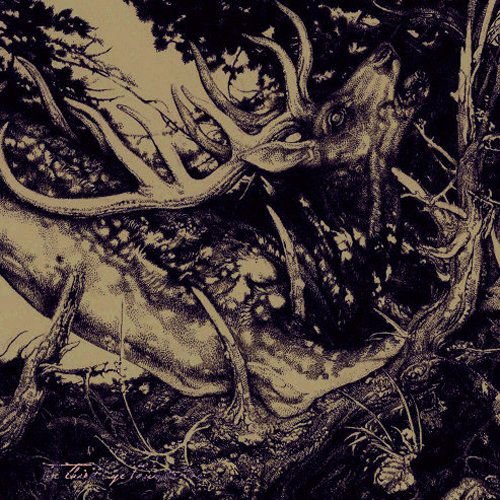 Third Eye Foundation - Dark 1CD