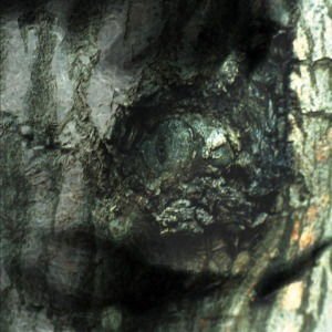 Yann Tiersen - La Valse Des Monstres 1CD