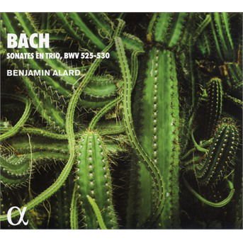 BENJAMIN ALARD BACH SONATES EN TRIO  BWV 525 CD