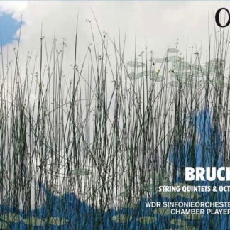 Wdr Sinfonieorchester Chamber Players - Bruch: String Quintets & Octet 1CD