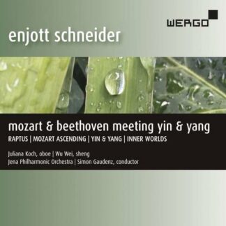 Koch / Wei / Jena Po / Gaudenz - Enjott Schneider: Mozart & Beethoven Meeting Yin & Yang 1CD